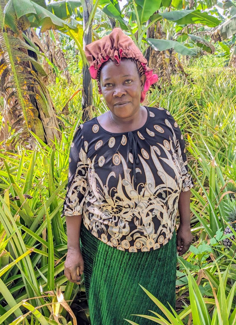 Groupement des petits producteurs de Luweero