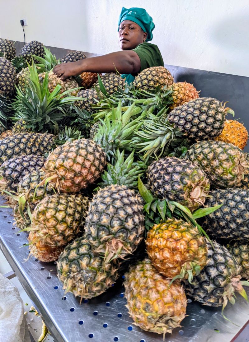 ananas