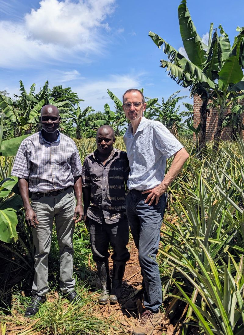 Groupement des petits producteurs de Luweero