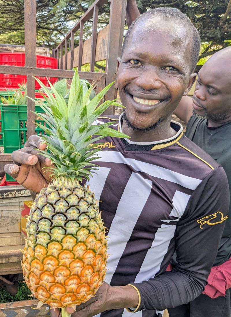 Groupement des petits producteurs de Luweero